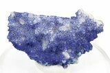 Vibrant Azurite on Quartz Crystals - China #252075-1